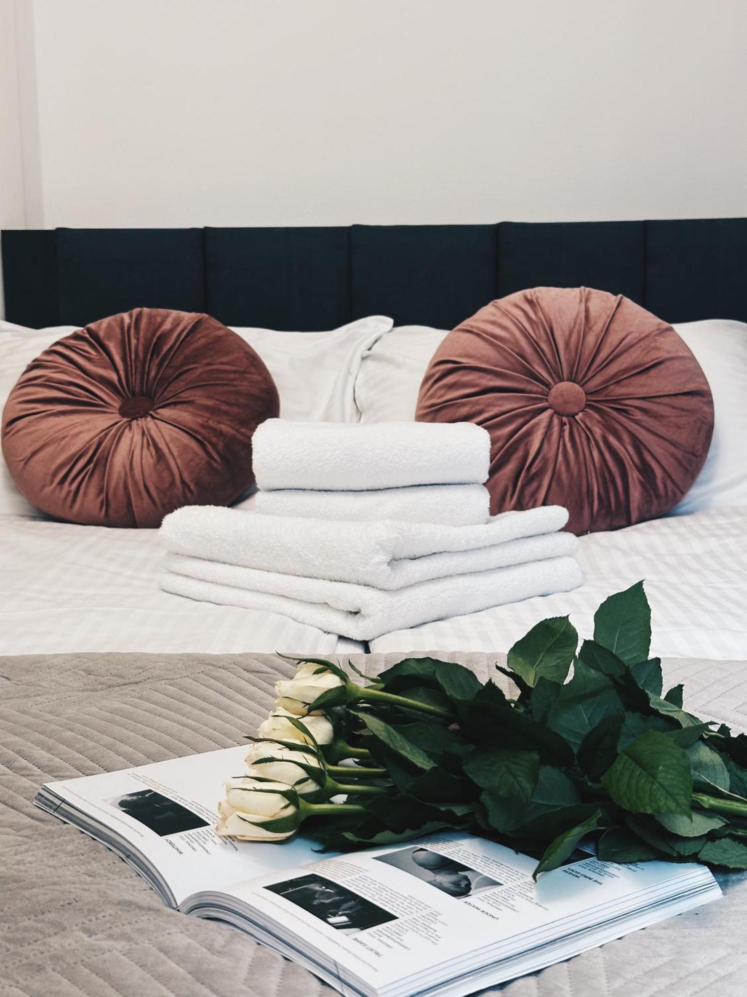 Soft Loft Apartamenty Торунь Экстерьер фото